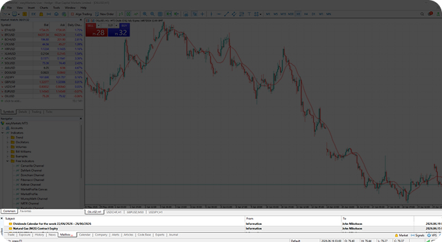 The MT5 Toolbox window containing account and trade tabs